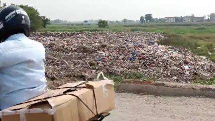 मनेर: हल्दी छपरा-हाथी टोला मार्ग पर नगर परिषद खुले में फेंक रहा कचरा, बदबू से लोग परेशान #jansamasya