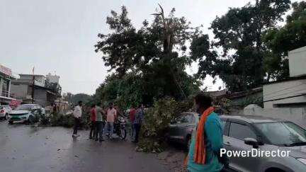 परसिया: पরাসिया: आफत की बारिश, मंगली बाजार में पेड़ पर गिरी बिजली, दो कारें दबीं, जीएम ऑफिस के सामने ट्रैक्टर गिरा
