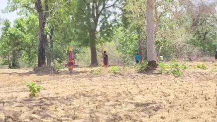 କଣ୍ଟାବାଞ୍ଜି: ରାଣୀସିଲେଟ ଗାଁରେ ଦେଖା ଦେଇଛି ପାଣି ସମସ୍ୟା, ସମାଧାନ କେବେ #Jansamasya