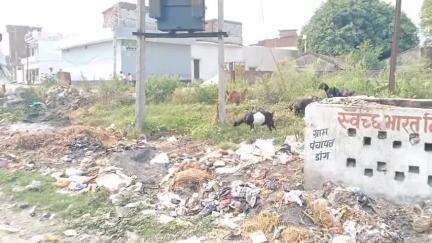 अमरिया: गांव डांग में लग रहे कचरे के ढेर, बारिश के बाद बदबू और गंदगी से परेशानी #jansamasya