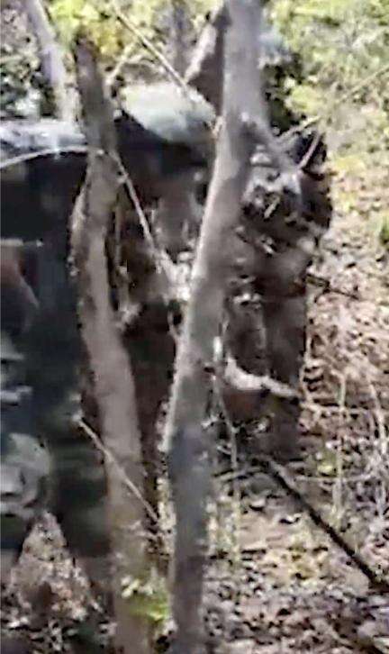 छत्तीसगढ़ के नारायणपुर में 26 से ज़्यादा नक्सलियों का हुआ एनकाउंटर, ₹1.5 करोड़ का इनामी नक्सली भी हुआ ढेर