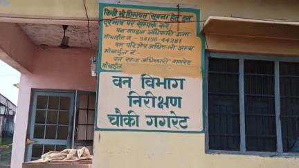 घनारी: अम्बोटा-आशादेवी मार्ग पर वन विभाग ने प्रतिबंधित लकड़ी से भरी गाड़ी पकड़ी, केस दर्ज