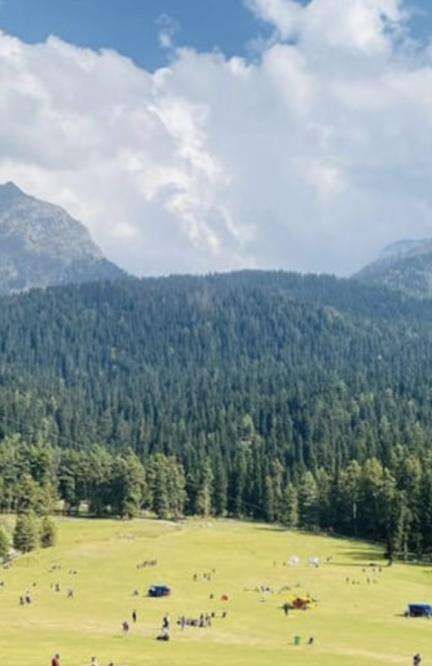 वरिष्ठ नेता का आरोप पहलगाम हमला बीजेपी की सोची समझी साज़िश; बिहार चुनाव के चलते करवाया गया अटैक