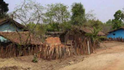 मस्तुरी: धरती आबा जनजातीय ग्राम उत्कर्ष अभियान के तहत आदिवासियों को लाभ दिलाने के लिए 15 जून से लगेंगे विशेष शिविर
