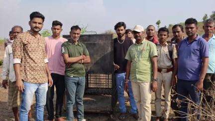 आनंदपुरी: थापड़ा के समीप मादा पैंथर नजर आई, वन विभाग ने रखवाया पिंजरा और ग्रामीणों को किया सतर्क
