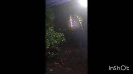 കുന്നത്തുനാട്: പെരുമ്പാവൂർ പാണിയേലിയിൽ ജനവാസ മേഖലയിൽ ഇന്ന് പുലർച്ചെ കാട്ടാനക്കൂട്ടം ഇറങ്ങി