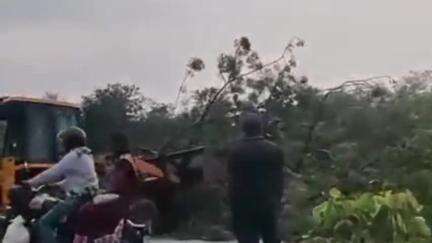 गोमिया: आंधी और बारिश से पेड़ गिरने पर गोमिया-हजारीबाग मार्ग जाम
