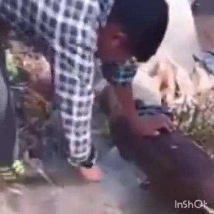 ठियोग: ठियोग शहर में पानी की मुख्य लाइन को शरारती तत्वों ने सात जगहों से काट दिया, लोग हो रहे परेशान