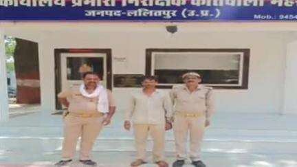 महरौनी: महरौनी पुलिस ने न्यायालय द्वारा जारी एनबीडब्ल्यू वारंट के मामले में पाली निवासी वांछित अभियुक्त को किया गिरफ्तार