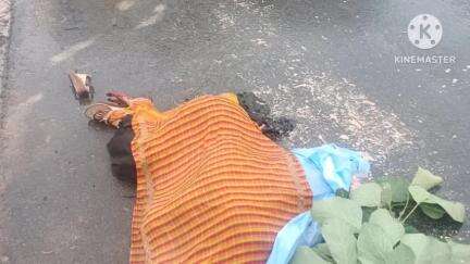 गाडराखेडी समीप ट्राले ने बाइक में टक्कर मारी। कनेरा सिरोंज निवासी शमशाद बी 28 साल की घटना स्थल पर ही मौत, पुलिस मौके पर