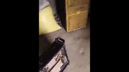 मनकापुर: वासुदेवपुरम ग्रांट में विपक्षियों ने घर में घुसकर की मारपीट, छपिया थाना में दर्ज हुआ केस