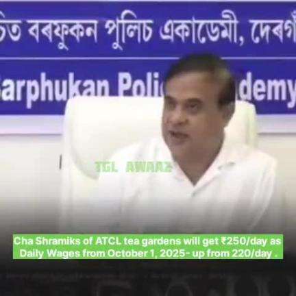 #WATCH || ATCL চাহ বাগিচাৰ চাহ শ্রমিকসকলৰ বাবে সুখবৰ —  ১ অক্টোবৰ ২০২৫ ৰ পৰা ₹২৫০ টকা হব।অসমৰ Assam Tea Corporation Limi