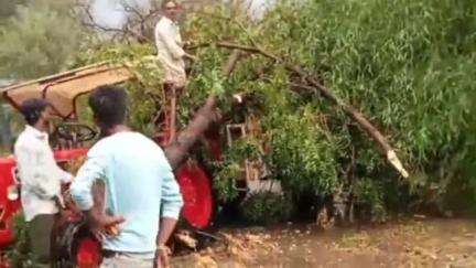 सीतामऊ: तेज हवा के साथ बारिश, सीतामऊ रोड पर पेड़ गिरने से 5 से अधिक गाड़ियां क्षतिग्रस्त