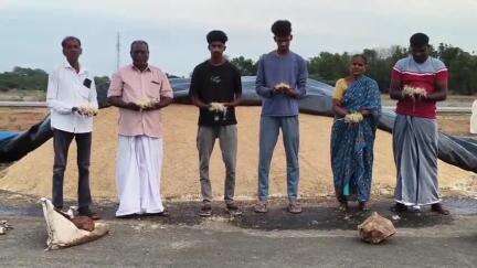 திருவள்ளூர்: வாசனாம்பட்டில் நெல்கள் முளைக்க தொடங்கி இருப்பதால் நேரடி நெல் கொள்முதல் நிலையம் திறக்க கோரி விவசாயிகள் கோரிக்கை#localiisue