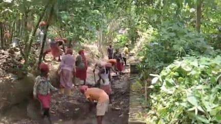 জয়নগর ১: জয়নগর মজিলপুর পৌরসভায় শুরু হল নিকাশি নালা সংস্কারের কাজ