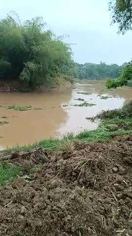 হৰিয়া নদী#কপিলী বুকত আহি গল #কামপুৰ #