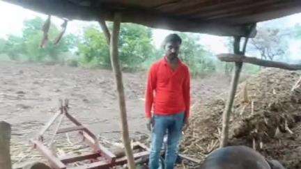 ಬಸವಕಲ್ಯಾಣ: ಯರಂಡಗಿ ಗ್ರಾಮದಲ್ಲಿ ಸಿಡಿಲಿಗೆ ಆಕಳು ಬಲಿ