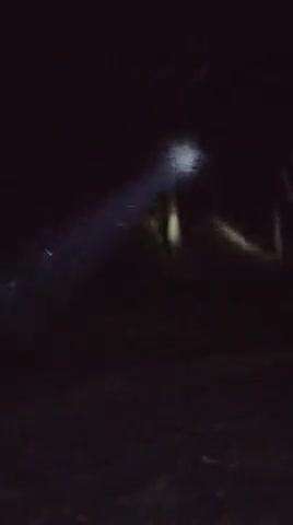 मझौली: मझौली ब्लॉक के पोडी गांव के यादव टोला में रात 12 बजे हाथियों का झुंड पहुंचने से दहशत
