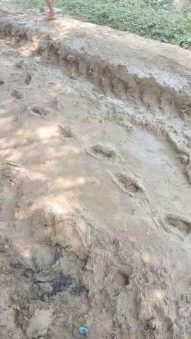 मालवीय नगर कोच वार्ड  2 सड़क की कोई सुनवाई नहीं हो रही नासिर के मकान से अहमद के मकान तक अभी तक कोई सुनवाई नहीं हो रही है