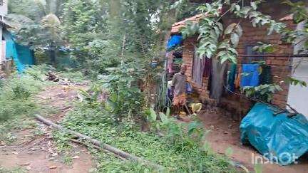 നിലമ്പൂർ: വന്യമൃഗ ഭീതി മാറാതെ മലയോര മേഖല,വല്ലപ്പുഴയിൽ പുലിയുടെ സാദ്യശ്യമുള്ള കാൽപ്പാടുകൾ കണ്ടെത്തി #locaissue
