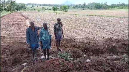 ಪಿರಿಯಾಪಟ್ಟಣ: ಪಿರಿಯಾಪಟ್ಟಣದ ಹಾರನಹಳಿಯಲ್ಲಿ ರಸ್ತೆಗಾಗಿ ಕಂದಾಯ ಅಧಿಕಾರಿಗಳಿಂದ ಬೆಳೆನಾಶ ರೈತರಿಂದ ಆಕ್ರೋಶ: #localissue