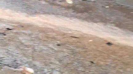 കണ്ണൂർ: കണ്ണൂരിൽ ഇന്നു മുതൽ  അടുത്ത 5 ദിവസം ശക്തമായ മഴക്ക് സാധ്യത, കേന്ദ്ര കാലാവസ്ഥാ വകുപ്പ് ഓറഞ്ച്, മഞ്ഞ അലർട്ട് പ്രഖ്യാപിച്ചു
