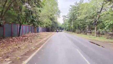कैंट रोड पर रात में बारिश और आंधी से गिरा पेड़, आवागमन हुआ बाधित