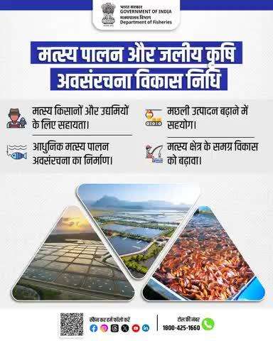 सतत् विकास की ओर — मत्स्य पालन से सशक्त समुदाय!
मत्स्य पालन और जलीय कृषि अवसंरचना विकास निधि (FIDF) के तहत —
· मत्स्य किसानों और उद्यमियों को सहायता
· आधुनिक अवसंरचना का निर्माण