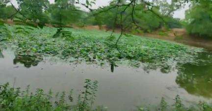 लंबी उम्र जीने का यह रहस्य आप जरूर जान लीजिए