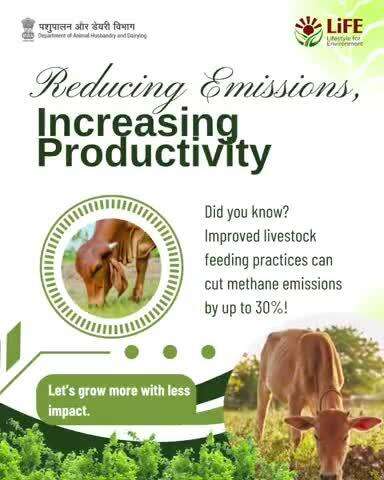 Grow more, emit less — climate-smart feeding practices are a win for Livestock farmers and the environment.
#WorldEnvironmentDay  #MissionLiFE 
#SustainableLivestock  #lowemissionfarming