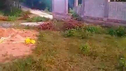 वारासिवनी: एसडीएम ने वारासिवनी के ग्राम कायदी में अनाधिकृत कॉलोनी की रजिस्ट्री पर आगामी आदेश तक रोक लगाई