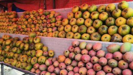 தருமபுரி: உடலுக்கு தீமை விளைவிக்கும் செயற்கை முறையில் பழங்களை பழுக்க வைத்து விற்பனை செய்ய வேண்டாம்
கலெக்டர்.ரெ.சதீஸ், தகவல்