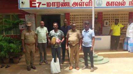 பாலக்கோடு: ஆல்மாரப்பட்டி பேருந்து நிறுத்தம் அருகே  கஞ்சா விற்றவர் கைது. 1.5 கிலோ கஞ்சா பறிமுதல்