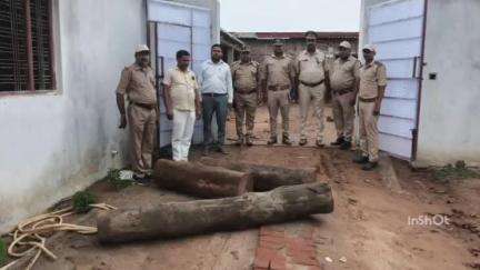 नौतनवा: बसंतपुर गांव में फर्नीचर की दुकान से 3 बोटा साखू किया गया बरामद