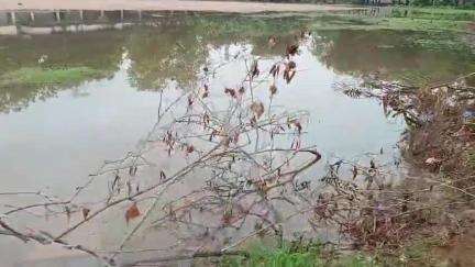 పెద్దపల్లి: రాత్రి వర్షానికి చెరువులా మారిన జూనియర్ కళాశాల #localissue