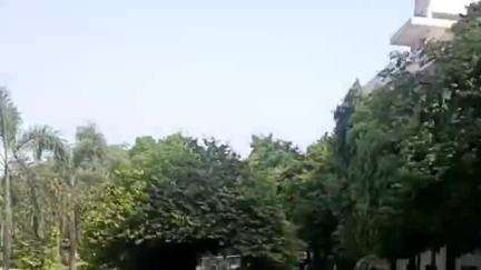 करनाल: सदर बाजार करण पार्क में खस्ता हालत पेड़ गिरने की कगार पर लोगों ने पेड़ हटाने के लिए निगम प्रशासन से की अपील#jansamsyaa