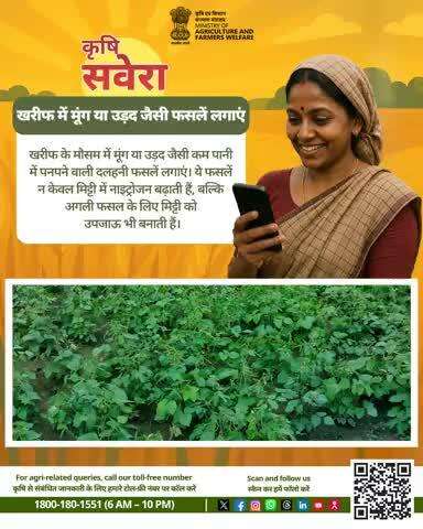 हर सुबह खेती की सही बात! 
जुड़े रहिए #KrishiSavera के साथ और शेयर करें अपनी टिप्स। 
#Agrigoi #Farmingtips