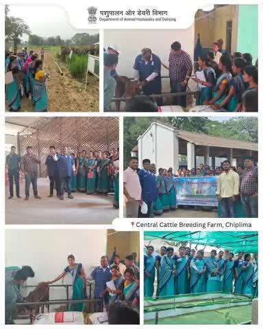 A-HELP Training at Chiplima 
Central Cattle Breeding Farm, Chiplima, in collaboration with the FARD Department, Govt. of Odisha, conducted a 17-day A-HELP training program from 6th to 22nd May 2025.
