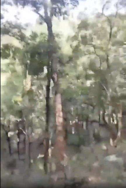 छत्तीसगढ़ में बस्तर के अबूझमाड़ में 27 नक्सलियों के एनकाउंटर का लाइव वीडियो आया सामने