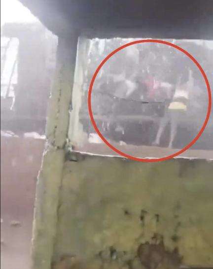 মধ্যপ্রদেশে ঝড়ের জেরে খড়ের চালের সঙ্গে উড়ে গেল শিশুরা, প্রকাশ্যে ভিডিয়ো