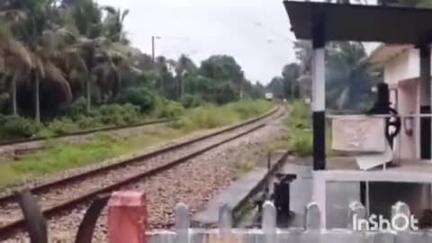 അമ്പലപ്പുഴ: നീർക്കുന്നത്ത് ക്ഷേത്രോത്സവം കണ്ട് മടങ്ങിയ വീട്ടമ്മ ട്രെയിൻ തട്ടി മരിച്ചു