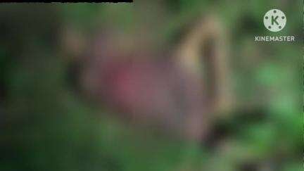 ঝাড়গ্রাম: হরিয়াধরাতে হাতির হানায় মৃত্যু হল এক মহিলার, মৃতদেহ ময়নাতদন্তের জন্য আনা হল ঝাড়গ্রাম জেলা হাসপাতালের মর্গে