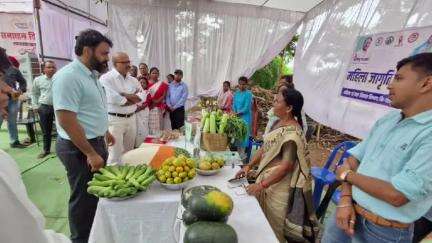 फरसाबहार: प्रभारी सचिव ने पुराइनबंध में आयोजित समाधान शिविर का किया आकस्मिक निरीक्षण