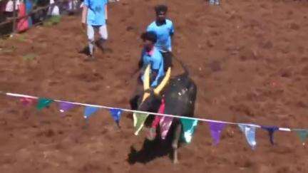 காளையார்கோவில்: மறவமங்கலத்தில் ஜல்லிக்கட்டு: 15 பேர் காயம்