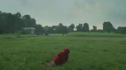 चंदवारा: डीसी ने वीडियो जारी कर कहा- सावधानियां बरतें, आंधी, तूफान और वज्रपात जैसी आपदाओं से बच सकते हैं
