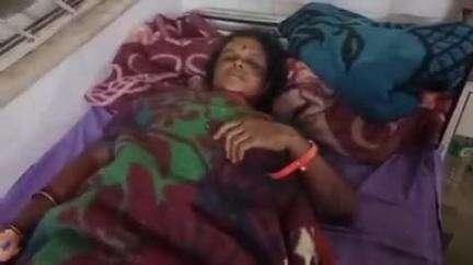घाघरा: जलावन के लिए लकड़ी काटते समय पेड़ से गिरकर दरदाग टोटाम्बी निवासी महिला घायल