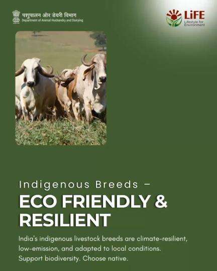 Supporting native breeds means protecting biodiversity, strengthening climate resilience, and honoring tradition.
