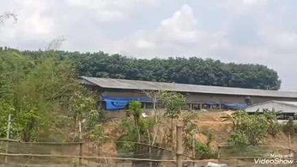 বিশালগড়: কাঞ্চনমালা এলাকায় বয়লার মুরগির ফার্মের অভিযোগ থাকার পরও প্রশাসন নেইনি কোনো ধরনের পদক্ষেপ #jansamasya