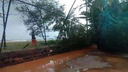 ചാവക്കാട്: ശക്തമായ കാറ്റിലും മഴയിലും കാറ്റടിമരങ്ങൾ ഒടിഞ്ഞു വീണു, ഇരട്ടപ്പുഴ പാറൻപടിയിലെ ടർഫ് തകർന്നു