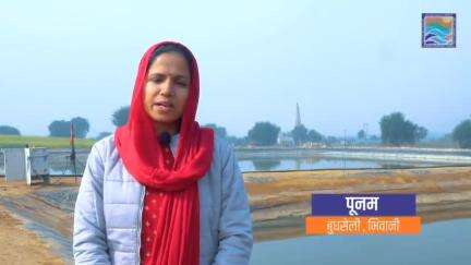हरियाणा के बुधसेली गांव की मत्स्यपालक महिला श्रीमती पूनम और अन्य महिलाओं ने मत्स्य पालन में 5.5 एकड़ तालाब के माध्यम से नई मिसाल कायम की है।